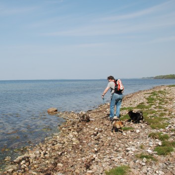 Am Holbaek Fjord mit den Mittelspitzen von der Rosteige - 11