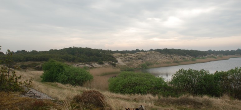 Am See und Strand von Borsmose mit den Mittelspitzen von der Rosteige 04