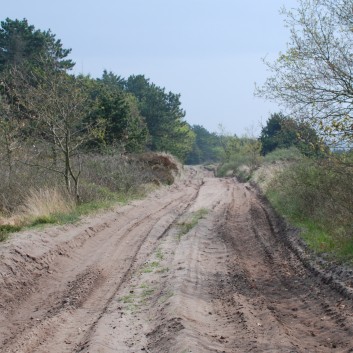 Am See und Strand von Borsmose mit den Mittelspitzen von der Rosteige 18