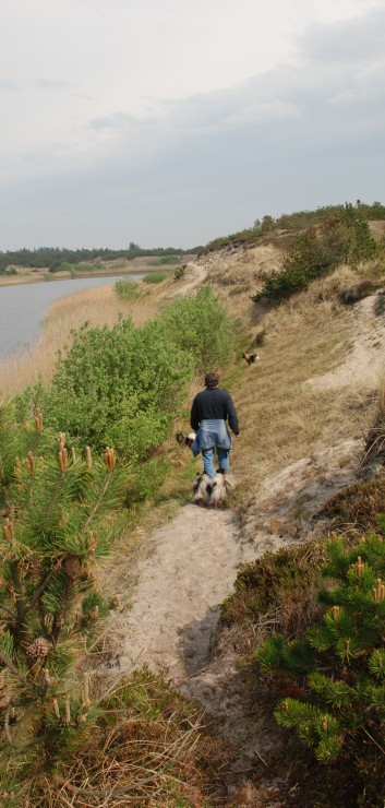 Am See und Strand von Borsmose mit den Mittelspitzen von der Rosteige 20