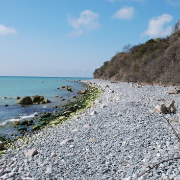 Am Strand vom Mons Klint mit den Mittelspitzen von der Rosteige - 11