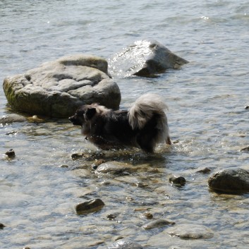 Am Strand vom Mons Klint mit den Mittelspitzen von der Rosteige - 14