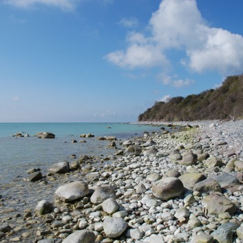 Am Strand vom Mons Klint mit den Mittelspitzen von der Rosteige - 17