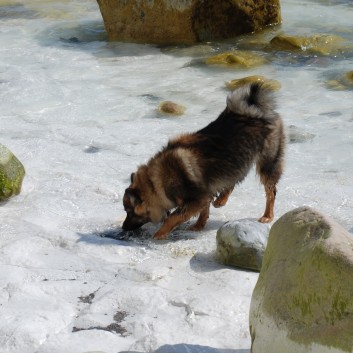 Am Strand vom Mons Klint mit den Mittelspitzen von der Rosteige - 21