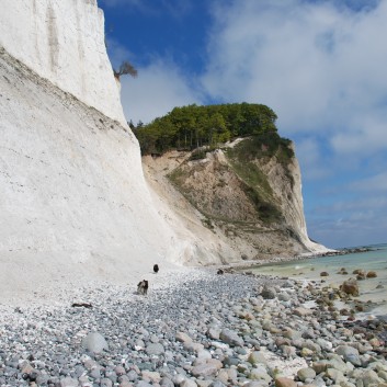 Am Strand vom Mons Klint mit den Mittelspitzen von der Rosteige - 24