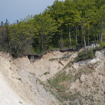 Am Strand vom Mons Klint mit den Mittelspitzen von der Rosteige - 25