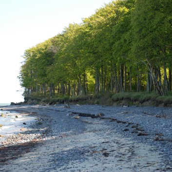 Am Strand vom Mons Klint mit den Mittelspitzen von der Rosteige - 37