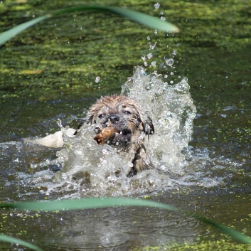 Ausflug mit den Mittelspitzen von der Rosteige an den Weiher 2011 - 13