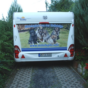 CACIB Targu Mures 2011 mit den Spitzen von der Rosssteige 02