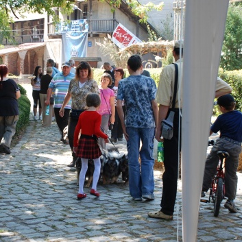 CACIB Targu Mures 2011 mit den Spitzen von der Rosssteige 13