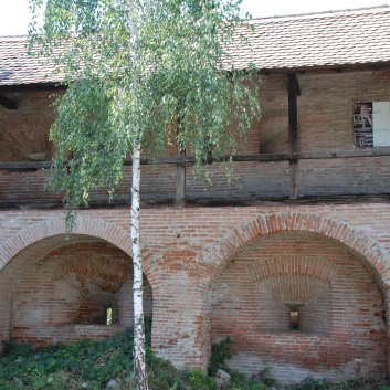 CACIB Targu Mures 2011 mit den Spitzen von der Rosssteige 16