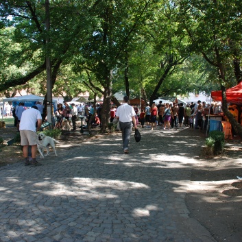 CACIB Targu Mures 2011 mit den Spitzen von der Rosssteige 20