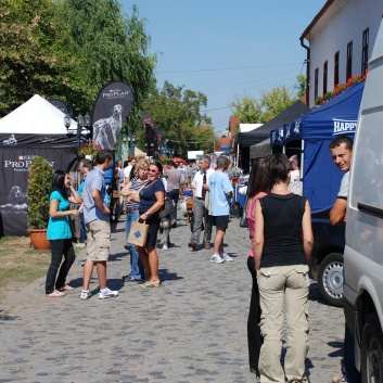 CACIB Targu Mures 2011 mit den Spitzen von der Rosssteige 24