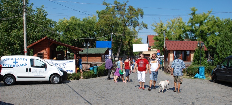 CACIB Targu Mures 2011 mit den Spitzen von der Rosssteige 27