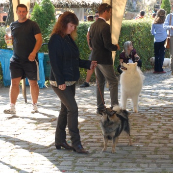 CACIB Targu Mures 2011 mit den Spitzen von der Rosssteige 32