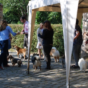 CACIB Targu Mures 2011 mit den Spitzen von der Rosssteige 34