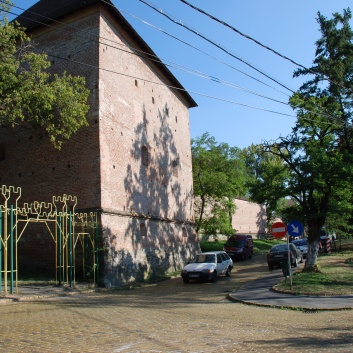 CACIB Targu Mures 2011 mit den Spitzen von der Rosssteige 36