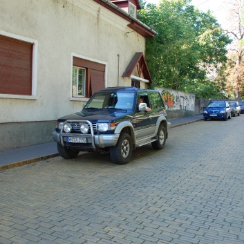 CACIB Targu Mures 2011 mit den Spitzen von der Rosssteige 38