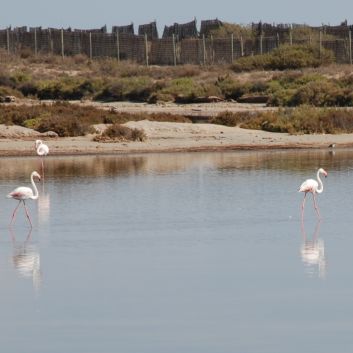 Camping Urlaub mit Spitzen nach Gibraltar 056