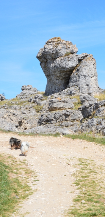 Die Mittelspitze auf dem Chaos de Nimes le vieux - 02