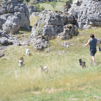 Die Mittelspitze auf dem Chaos de Nimes le vieux - 11