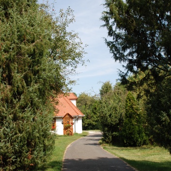 Die Mittelspitze von der Rosteige - Natura Camping Acs in Ungarn an der Donau - 01