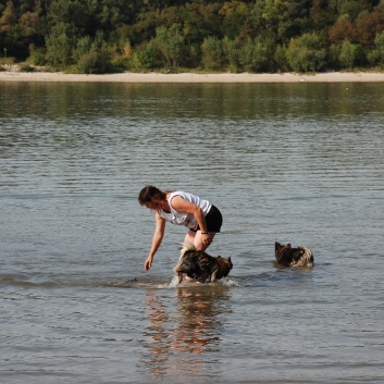 Die Mittelspitze von der Rosteige - Natura Camping Acs in Ungarn an der Donau - 14