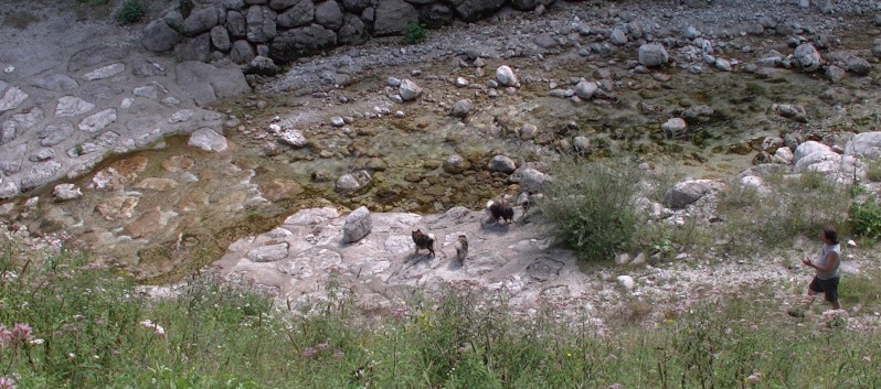 Die Mittelspitze von der Rosteige Im Soccatal in Slowenien - 36