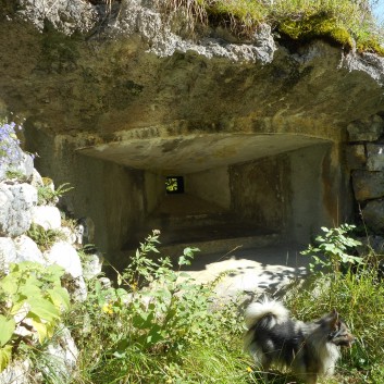 Die Mittelspitze von der Rosteige Im Soccatal in Slowenien - 76