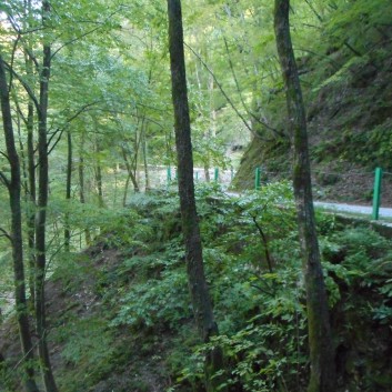 Die Mittelspitze von der Rosteige Im Soccatal in Slowenien - 80