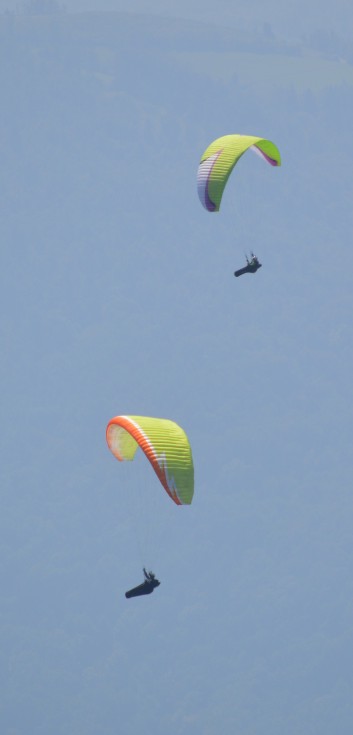 Die Mittelspitze von der Rosteige auf dem Berg Kopala in Slowenien 26