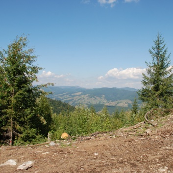 Die Mittelspitze von der Rosssteige auf dem Munti Gihor - 32