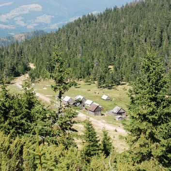 Die Mittelspitze von der Rosssteige auf dem Munti Gihor - 45