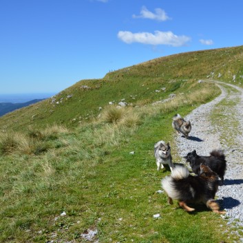 Die Mittelspitze von der Rosteige auf dem Stol in Slowenien - 17