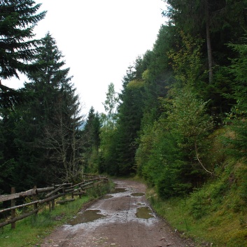 Die Mittelspitze von der Rosssteige im Apuseni-Gebirge in Transilvanien - 06