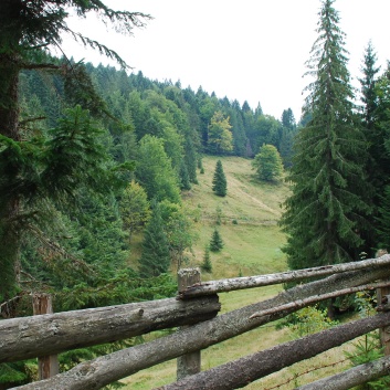 Die Mittelspitze von der Rosssteige im Apuseni-Gebirge in Transilvanien - 07