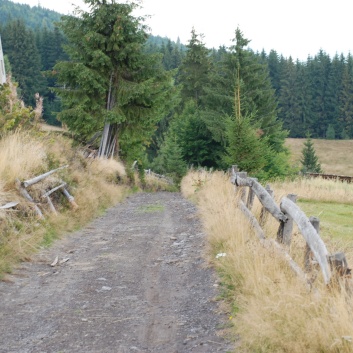 Die Mittelspitze von der Rosssteige im Apuseni-Gebirge in Transilvanien - 22