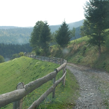 Die Mittelspitze von der Rosssteige im Apuseni-Gebirge in Transilvanien - 25