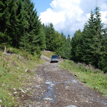 Die Mittelspitze von der Rosssteige im Apuseni-Gebirge in Transilvanien - 28