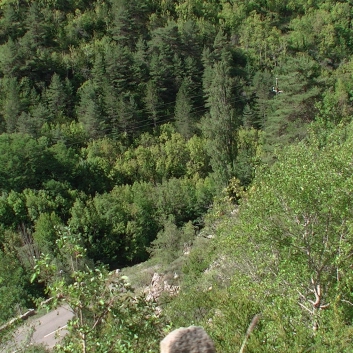 Die Spitze von der Rosteige auf dem Plateau Mejean in Sdfrankreich - 03