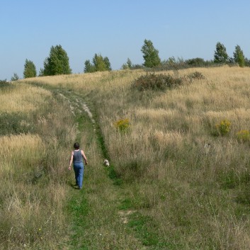 Die Strae der Braunkohle mit den Mittelspitze von der Rosteige 2006 - 01