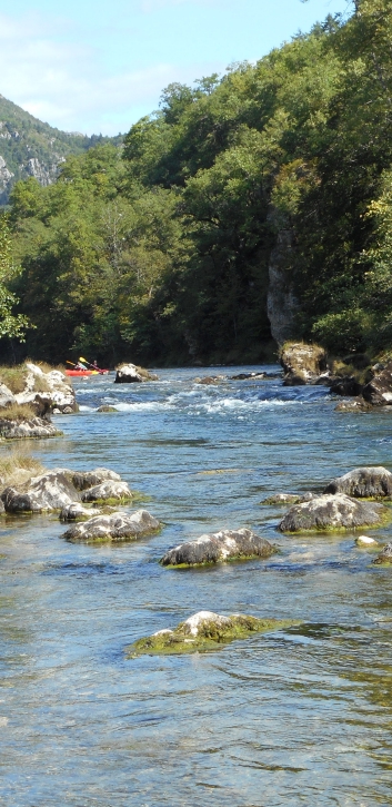 Kajakfahrt Gorges Du Tarn - 06