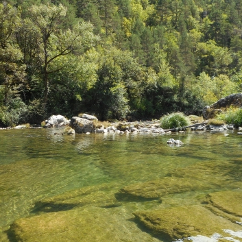 Kajakfahrt Gorges Du Tarn - 23