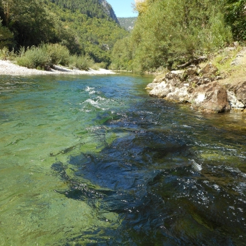 Kanufahrt Gorges Du Tarn - 73