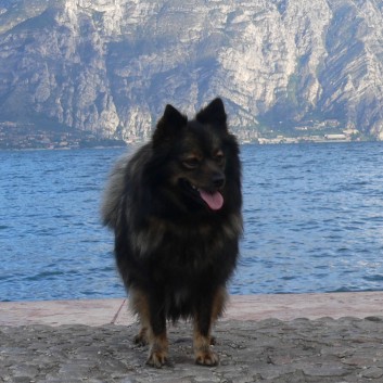 Kleine Italienrundreise mit den Spitzen von der Roßsteige 10 Kleine Italienrundreise mit den Spitzen von der Roßsteige 10