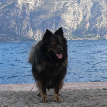 Kleine Italienrundreise mit den Spitzen von der Rosteige 10