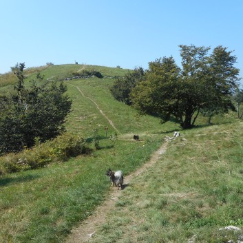 Kolovrat - Freilichtmuseum in Slowenien - 21