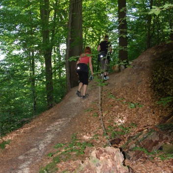 Mittelspitz Aragon von der Rosteige in der Huettlenwaldschlucht 03