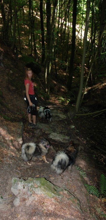 Mittelspitz Aragon von der Rosteige in der Huettlenwaldschlucht 13