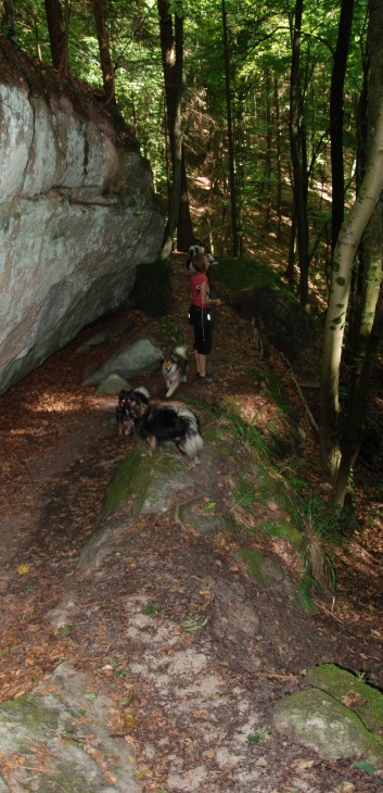 Mittelspitz Aragon von der Roßsteige in der Huettlenwaldschlucht 14 Mittelspitz Aragon von der Roßsteige in der Huettlenwaldschlucht 14
